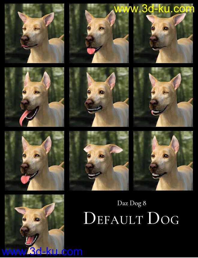 GOOD DOG! Expressions for Daz Dog 8模型的图片1