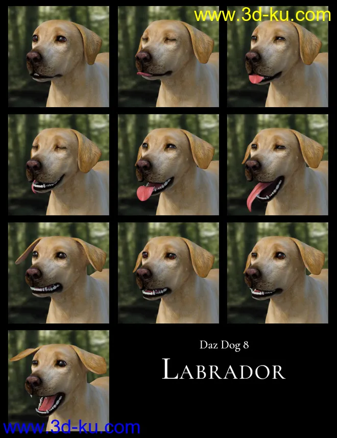 GOOD DOG! Expressions for Daz Dog 8模型的图片3