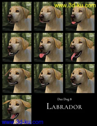 3D打印模型GOOD DOG! Expressions for Daz Dog 8的图片