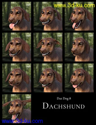 3D打印模型GOOD DOG! Expressions for Daz Dog 8的图片