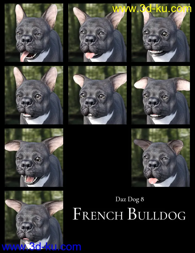 GOOD DOG! Expressions for Daz Dog 8模型的图片5