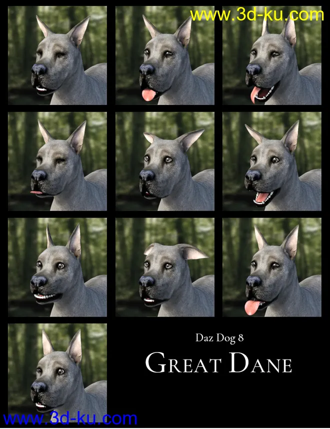 GOOD DOG! Expressions for Daz Dog 8模型的图片6