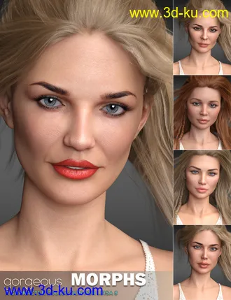 3D打印模型Gorgeous Morphs for Leisa 8的图片
