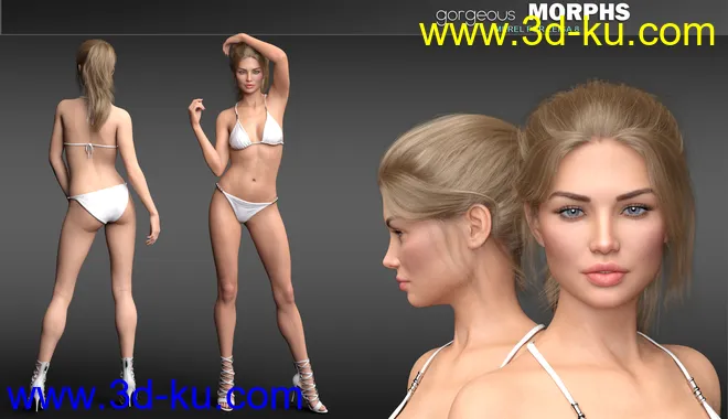 Gorgeous Morphs for Leisa 8模型的图片3