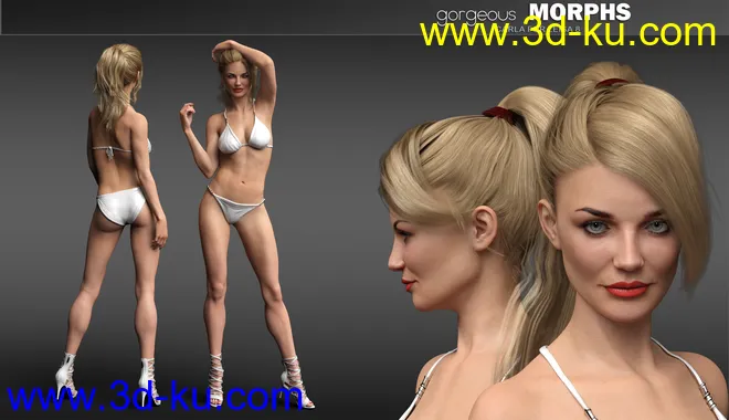 Gorgeous Morphs for Leisa 8模型的图片7