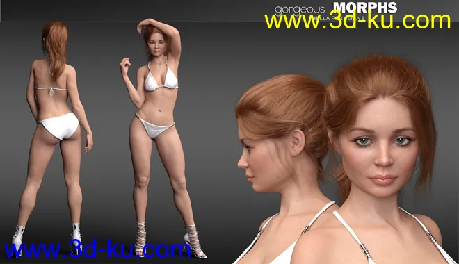 Gorgeous Morphs for Leisa 8模型的图片11