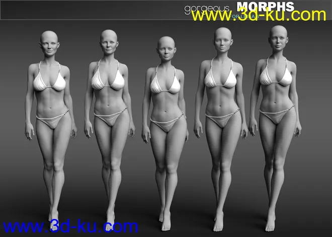 Gorgeous Morphs for Leisa 8模型的图片12