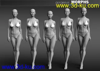 3D打印模型Gorgeous Morphs for Leisa 8的图片