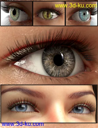 3D打印模型GP Character Eyes for Genesis 8的图片