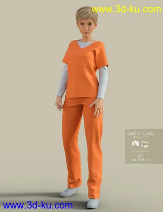 3D打印模型H&C Prisoner Clothing for Genesis 3 Female的图片