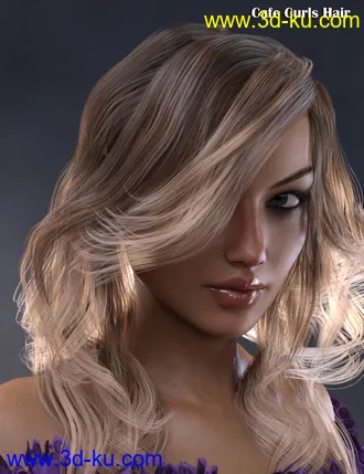 3D打印模型Hair Converter from Genesis 8 Female to Genesis 3 Female的图片