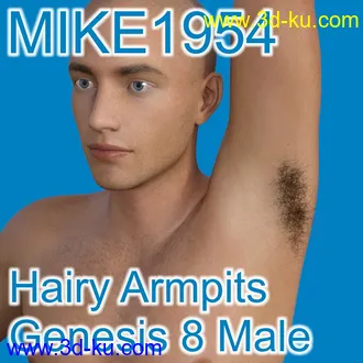 3D打印模型Hairy Armpits For Genesis 8 Male的图片