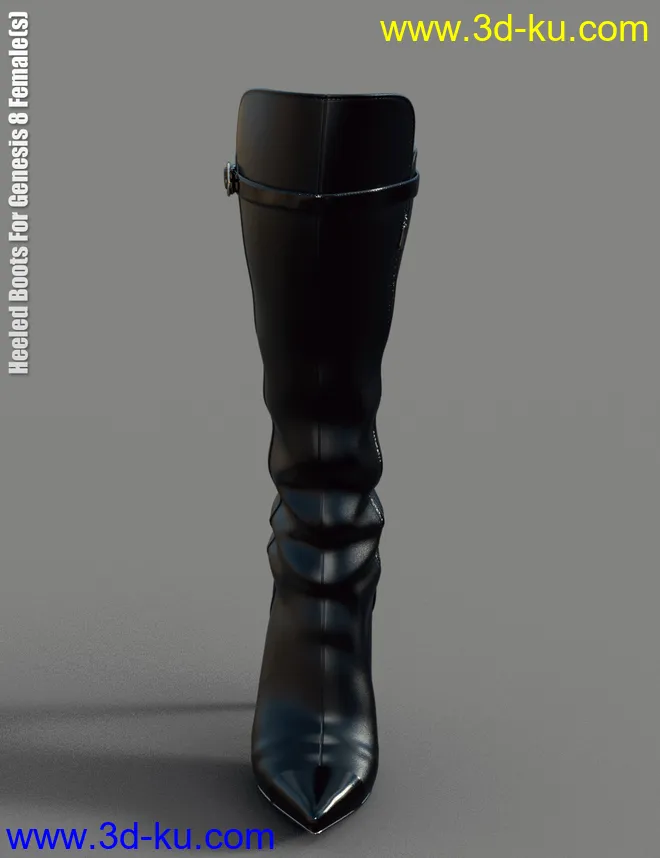 Heeled Boots for Genesis 8 Female(s)模型的图片3