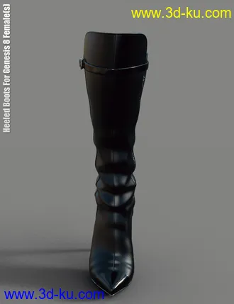 3D打印模型Heeled Boots for Genesis 8 Female(s)的图片