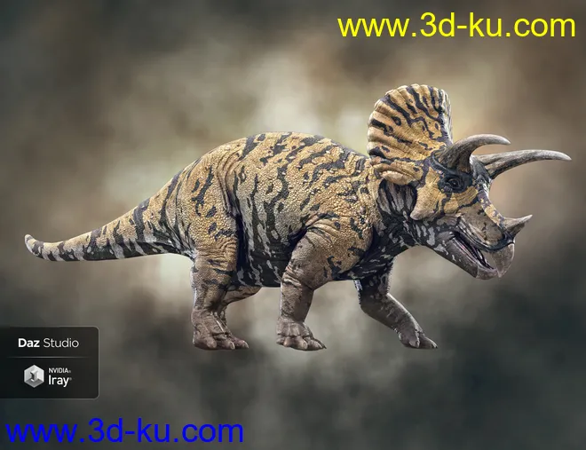 HH Triceratops模型的图片2