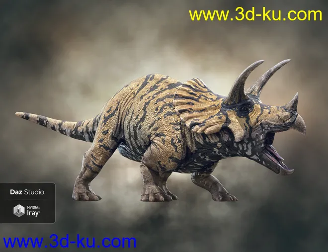 HH Triceratops模型的图片3