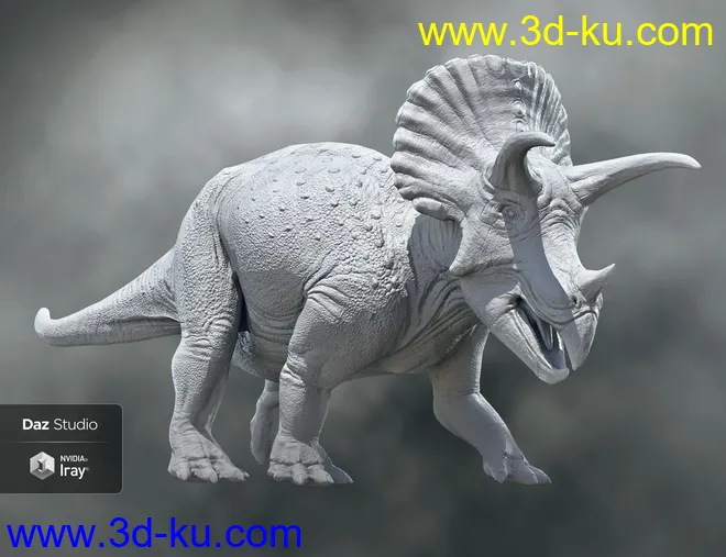 HH Triceratops模型的图片6