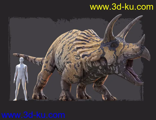 HH Triceratops模型的图片7