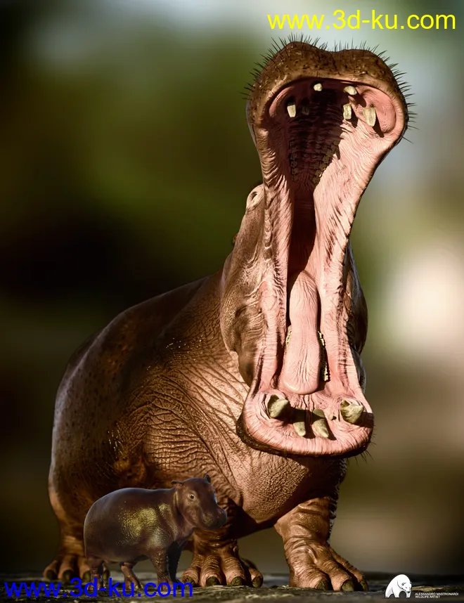 Hippopotamus by AM模型的图片1