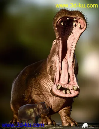3D打印模型Hippopotamus by AM的图片