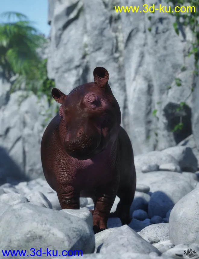 Hippopotamus by AM模型的图片6