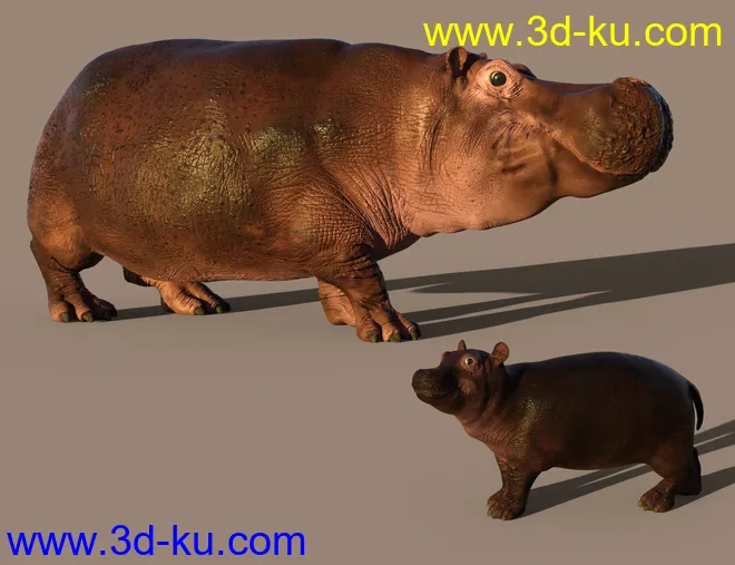 Hippopotamus by AM模型的图片9