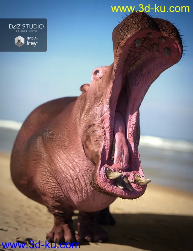 Hippopotamus by AM模型的图片14
