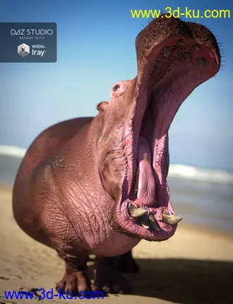 3D打印模型Hippopotamus by AM的图片