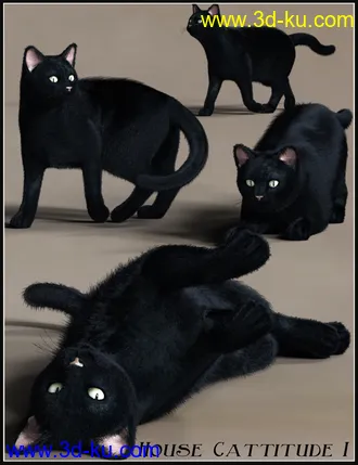 3D打印模型House Cattitude I的图片