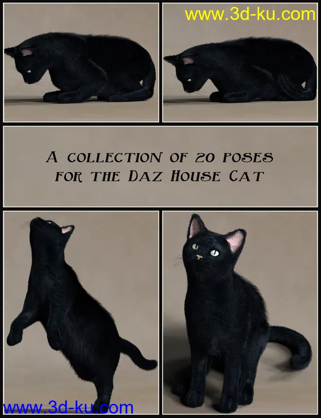 House Cattitude I模型的图片2