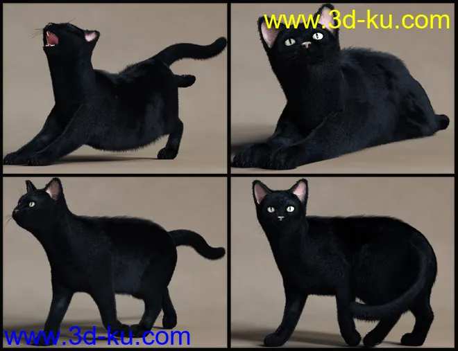 House Cattitude I模型的图片6