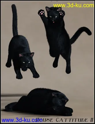 3D打印模型House Cattitude II的图片