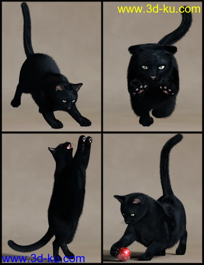 House Cattitude II模型的图片2