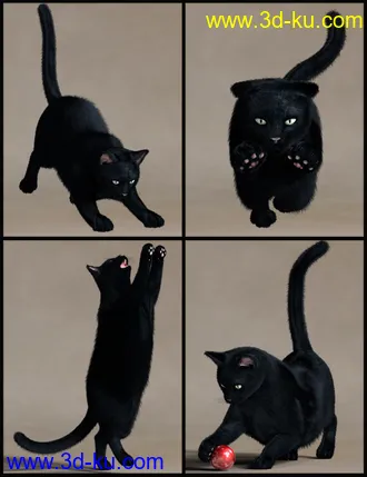 3D打印模型House Cattitude II的图片