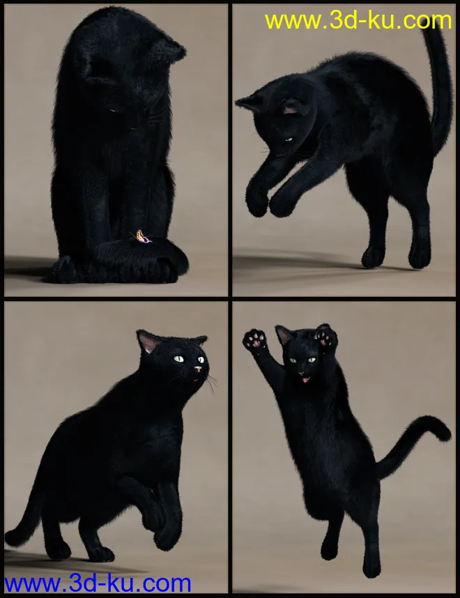 House Cattitude II模型的图片3