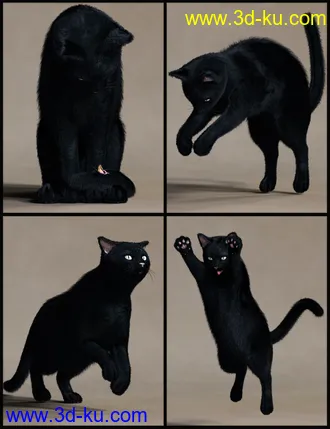 3D打印模型House Cattitude II的图片