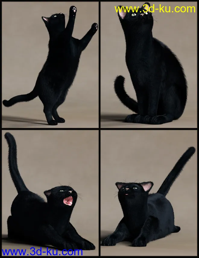 House Cattitude II模型的图片4