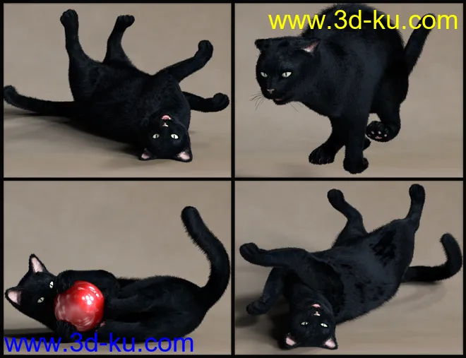 House Cattitude II模型的图片5