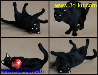 3D打印模型House Cattitude II的图片