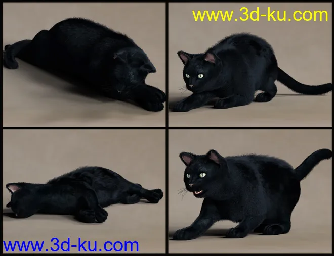 House Cattitude II模型的图片6