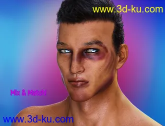 3D打印模型L.I.E. FACE BRUISES for Genesis 3 and 8的图片