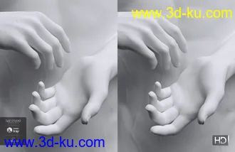 3D打印模型Landon 8 HD Add-On的图片