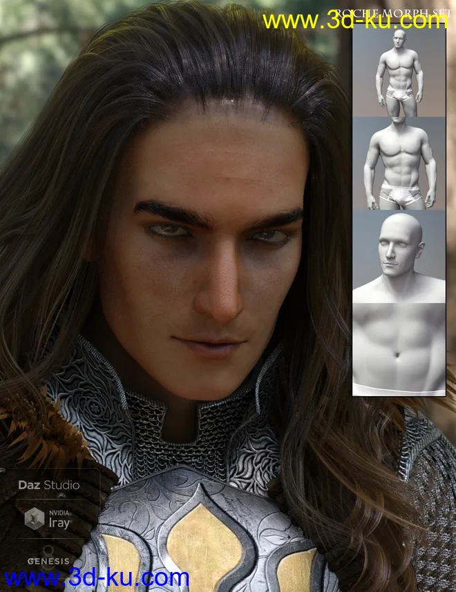 Leading Male Morph Collection for Genesis 8 Male(s)模型的图片6