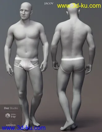 3D打印模型Leading Male Morph Collection for Genesis 8 Male(s)的图片