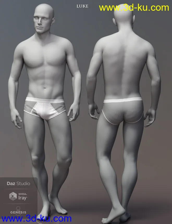 Leading Male Morph Collection for Genesis 8 Male(s)模型的图片9