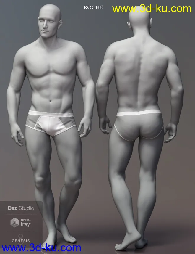 Leading Male Morph Collection for Genesis 8 Male(s)模型的图片11