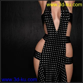 3D打印模型Leatherette DS的图片