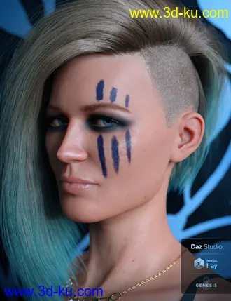 3D打印模型Leisa 8的图片