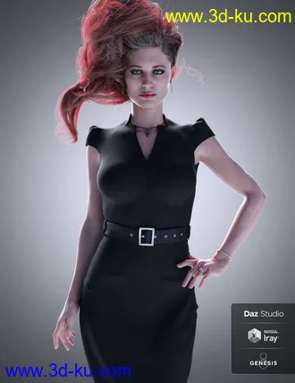 3D打印模型Leisa 8的图片