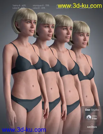 3D打印模型Leisa 8的图片